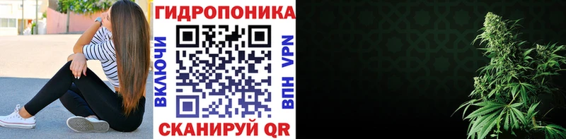 Купить наркотики Тара Метадон  Меф мяу мяу  ГАШ  Канабис 