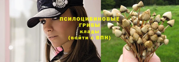 а пвп мука Балабаново