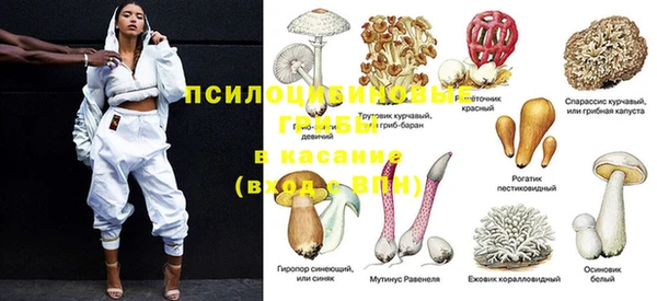 ешки Баксан