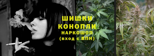 гашик Балахна